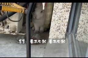 超高清短视频带你探访温暖福利院，感受爱的力量