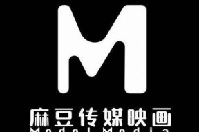陈可心：揭秘麻豆文化传媒的成功之道与市场动向检视