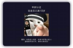 抖阴Plus：探索短视频新时代的创新体验与社交乐趣