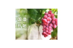 【麻豆免费网】畅享热门影视资源，轻松追剧无烦恼！