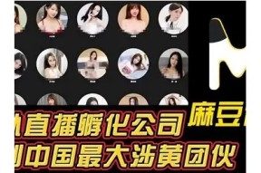 如何找到观看麻豆传媒的正规网站及其资源分享
