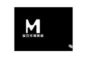 深入解析麻豆传媒病毒的传播路径与防护措施