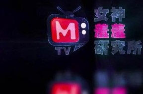 老公的客户：揭秘麻豆传媒背后的故事与魅力