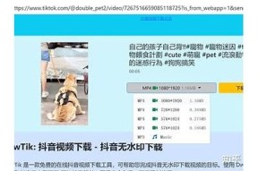 抖音1.60破解版下载：无广告体验，畅享无限乐趣