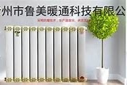 探索中国麻豆传媒：数字时代的影视新力量与发展潜力