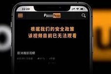 P站能否观看麻豆传媒内容？详细调查与讨论